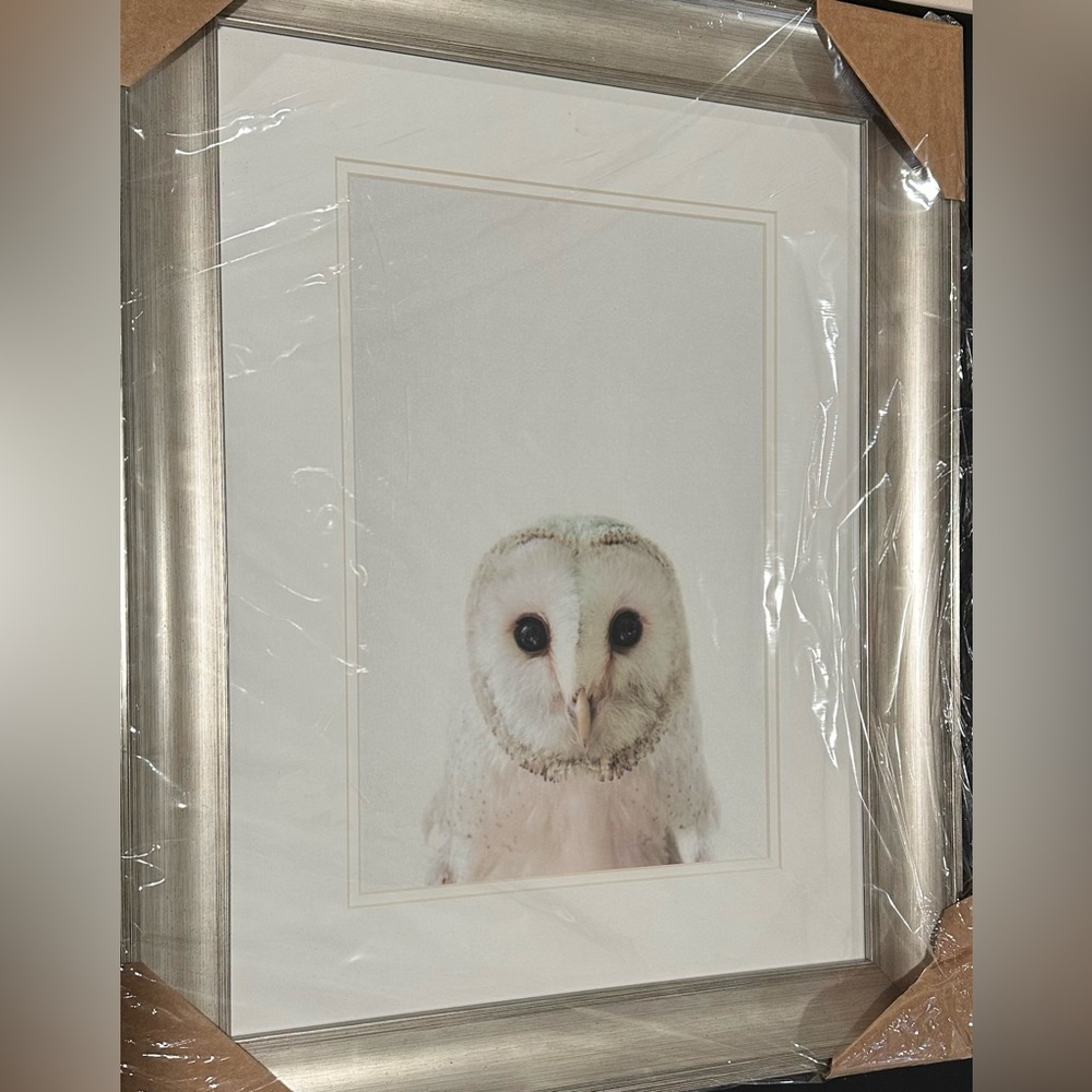Owl 🦉 Paragon picture gallery artist Tai